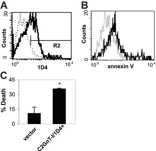 Figure 4. Expression of wild-type C2GnT-I in HH cells renders the cells susceptible to galectin-1 cell death. (A) HH cells were transfected with wild-type C2GnT-I. Pooled transfected cells were analyzed by staining with 1D4. Cells transfected with C2GnT-I (solid line) demonstrated increased reactivity with 1D4 compared with cells transfected with vector alone (dotted line). Marker shows 1D4+ region (R2). (B) Pooled HH cells transfected with wild-type C2GnT-I or vector alone were treated with galectin-1 for 4 hours and analyzed for binding of annexin V. C2GnT-I–transfected cells (1D4+ cells gated in R2, solid line) demonstrated increased annexin V binding after galectin-1 treatment compared with cells transfected with vector alone (dotted line). (C) Galectin-1 cell death was determined for cells transfected with vector alone versus 1D4+ cells transfected with C2GnT-I. 1D4+ cells demonstrated significantly greater cell death compared with cells transfected with vector alone (*P < .01). Values are mean ± SD for triplicates and are from 1 of 3 independent experiments.