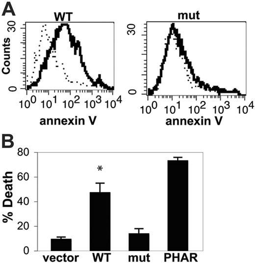 Figure 6. Expression of mutant C2GnT-I does not confer galectin-1 susceptibility. (A) Cells expressing WT clone 6 or mut clone 2 enzyme (from Figure 5A) were analyzed for annexin V binding after treatment with galectin-1 (dark line) and compared with annexin V binding of cells transfected with vector alone after treatment with galectin-1 (dotted line). (B) Cell death determined by annexin V binding and propidium iodide uptake of BW5147 cells transfected with vector alone, WT C2GnT-I (WT clone 6), or mutant C2GnT-I (mut clone 2). PhaR2.1 cells that express endogenous C2GnT and are susceptible to galectin-1 were used as a positive control. *P < .001 for cells expressing WT C2GnT-I compared with vector or mutant C2GnT-I. Values are mean ± SD of triplicates from 1 of 3 independent experiments.