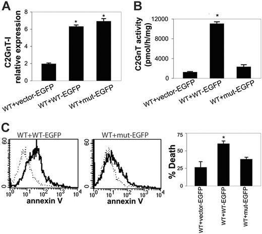 Figure 7. The S158C mutant C2GnT-I does not act in a dominant-negative fashion. BW5147 cells expressing WT C2GnT-I (WT clone 6, from Figure 5A) were transfected again with EGFP alone (WT + vector-EGFP), WT C2GnT-I–EGFP (WT + WT-EGFP), or mutant C2GnT-I–EGFP (WT + mut-EGFP). (A) Relative expression of C2GnT-I in WT or mutant C2GnT-I–EGFP analyzed by real-time RT-PCR. Clones with similar levels of C2GnT-I mRNA, calculated as C2GnT-I–actin ratios, were selected for further analysis. *P < .001 for WT or mutant C2GnT-I–EGFP compared with vector alone. Values are mean ± SD of triplicates from 1 of 3 independent experiments. (B) Mutant C2GnT-I–EGFP does not decrease enzyme activity in WT clone 6 cells. Cells expressing WT C2GnT-I–EGFP had increased activity compared with WT clone 6 cells transfected with EGFP-vector alone or mutant C2GnT-I–EGFP. *P < .01. Values are mean ± SD of duplicates from 1 of 5 independent experiments. (C) Mutant C2GnT-I–EGFP does not reduce the susceptibility of WT clone 6 cells to galectin-1–induced death. (Left) Annexin V binding of WT clone 6 cells (dotted line) versus WT clone 6 cells transfected with WT C2GnT-I–EGFP (solid line). (Center) Annexin V binding of WT clone 6 cells (dotted line) versus WT clone 6 cells expressing mutant C2GnT-I–EGFP (solid line). (Right) Cell death was determined by annexin-V–allophycocyanin binding and 7-aminoactinomycin D uptake. Percentage of cell death was similar for WT clone 6 cells expressing mutant C2GnT-I–EGFP and EGFP-vector alone (P, NS), indicating that the mutant C2GnT-I–EGFP did not reduce the susceptibility to galectin-1. Cell death was significantly higher for WT clone 6 cells expressing WT C2GnT-I–EGFP (*P < .01). Values are mean ± SD for triplicates from 1 of 6 independent experiments.