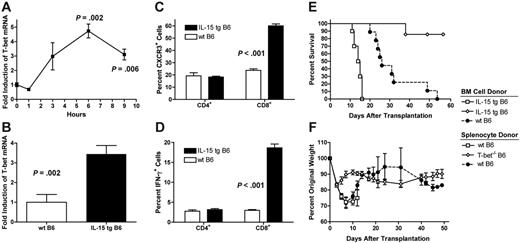 Figure 4. IL-15–mediated acute GVHD requires expression of T-bet by donor splenocytes. (A) Highly purified wt B6 splenic T cells were cultured in the presence of rmIL-15 (10 μg/mL) for the times indicated. Mean fold induction of T-bet relative to time 0 plus or minus SEM is shown. The experiment was performed 3 times with similar results. (B) Peripheral blood mononuclear cells were harvested from 4- to 6-week-old wt B6 or IL-15 tg B6 mice. Expression of T-bet was measured by quantitative real-time PCR. N ≥ 6 mice per group. Data represent mean fold induction of T-bet relative to wt B6 mice plus or minus SEM. (C, D) Splenocytes were harvested from wt B6 or IL-15 tg B6 mice (n = 4 per group) and stained for cell-surface expression of CXCR3 (C) or stimulated for 6 hours using immobilized anti-CD3/28 antibodies followed by fixation and staining for intracellular IFN-γ (D). Data represent mean percent positive cells plus or minus SEM. (E) Lethally irradiated wt B6D2F1 mice underwent transplantation with 1 × 107 wt B6 TCD BM cells and 5 × 106 wt B6 unpurified splenic T cells (•, n = 9), 1 × 107 IL-15 tg B6 TCD BM cells and 5 × 106 wt B6 unpurified splenic T cells (□, n = 10), or 1 × 107 IL-15 tg B6 TCD BM cells and 5 × 106 T-bet–/– B6 unpurified splenic T cells (⋄, n = 7). Survival was monitored daily and was compared using the logrank test. Data are combined from 2 similar experiments. (F) Body weights from animals in panel E were measured, normalized to day 0, and plotted as mean plus or minus SEM. Groups were compared as described in “Statistics.”