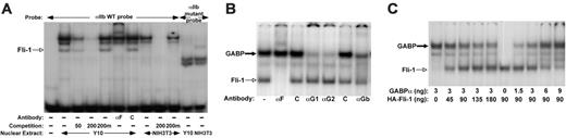 Figure 1. GABPα is the major Ets transcription factor that binds to the proximal αIIb promoter by EMSA. (A) EMSA using nuclear extract from either Y10 cells or NIH3T3 cells. Indicated above the gel is whether a 32P-labeled 27 bp probe from –53 to –27 bp upstream of the murine αIIb gene transcription start site12 (WT) or a similar probe mutated within the core Ets binding motif was included. Indicated below the gel are the antibodies included. αF = anti–Fli-1 antibody. C = isoimmune control antibodies. The fold excess of the cold competitor probe is also indicated. The source of nuclear extracts is indicated at the bottom. The position of migration of Fli-1 is indicated by a thin open arrow. (B) EMSA using WT probe and Y10 nuclear extract. αG1 and αG2 = 2 anti-GABPα antibodies. αGb = anti-GABPβ.C = isoimmune control antibodies. The positions of migration of GABPα and Fli-1 are indicated by a thick black arrow and a thin open arrow, respectively. (C) Competitive binding of GABPα and Fli-1 to the αIIb proximal promoter in vitro. The probe is same as in panel B, but these studies use nuclear extracts from COS cells or COS cells overexpressing HA-Fli-1. The amounts of GABPα and Fli-1 added in each lane are indicated. The position of migration of GABPα and Fli-1 are indicated as in panel B. All gels are representative studies of at least 3 similar studies with similar outcomes.