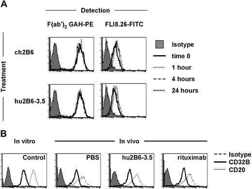 Figure 7. CD32B antigen modulation following antibody treatment in vitro and in vivo. (A) Daudi cells were cultured in the presence of ch2B6 (1 μg/mL) or hu2B6-3.5 (1 μg/mL) for 24 hours and analyzed for expression of CD32B or the presence of anti-CD32B antibodies, at the indicated time points. (B) Residual Daudi tumors, treated with 8 weekly doses of hu2B6-3.5 (25 μg/mouse), rituximab (25 μg/mouse), or PBS were allowed to grow in vivo for an additional week. Tumors were removed, dissociated, and incubated with the following antibodies (1-2 μg/mL): anti–CD32B-FITC (2B6, bold line), anti–CD20-FITC (L27, dotted line), or murine IgG1-FITC (solid area). The anti-CD32B (2B6) and anti-CD20 (L27) antibodies used do not cross-react with the corresponding mouse antigens.