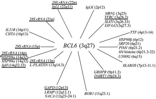 Figure 7. Chromosomal locations of all the BCL6 translocation partners (annotated genes only) described in B-cell NHL. BCL6 fusion partner genes identified by us in gastric lymphoma are underlined.