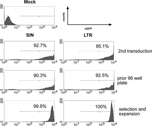 Figure 2. FACS analyses of the transduction, selection, and expansion process. eGFP expression and percentage of positive cells of SIN- and LTR-transduced BM cells 1 day after the second transduction (top panel), after 2 weeks (middle panel), and after selection of a single clone (bottom panel). Representative data obtained in experiment 3 and experiment 4 (FACS analysis of the SIN vector-transduced clone).
