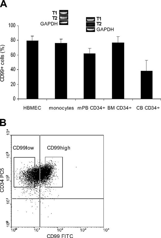 Figure 1. Expression of CD99. (A) Expression of CD99 on the HBMEC line, on human CD14+ mobilized peripheral blood (mPB) monocytes, and on mPB CD34+ cells (n = 14), on bone marrow CD34+ cells (BM, n = 5) and cord blood CD34+ cells (CB, n = 4). Error bars represent SEM. The detection of the 2 isoforms, T1 (the full-length form) and T2 (the truncated form), shows the relatively low level of the T2 isoform in mPB CD34+ progenitors when compared with mPB CD14+ monocytes (a representative illustration of gel electrophoresis of RQ-PCR products for CD14+ and CD34+ cells immunoselected from the same apheresis sample). (B) Representative flow cytometric detection of CD34 and CD99 expression on immunoselected CD34+ progenitors obtained from an adult patient undergoing apheresis.