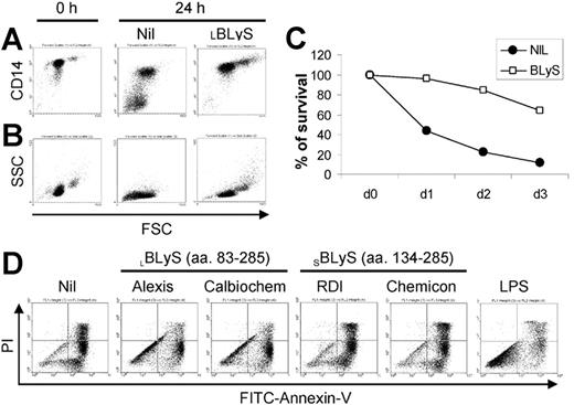 Figure 1. BLyS induces monocyte survival. CD14+ monocytes were cultured ± 100 ng/mL BLyS for 24 hours before assessing CD14 expression levels by flow cytometry (A) or cell morphology (B) as revealed by forward (FSC) versus side scatter (SSC). (C) To assess the effects of BLyS on monocyte survival over time, cells were cultured ± 100 ng/mL LBLyS for 1 to 3 days and the percentage of viable cells was determined by FITC-annexin V and PI staining. (D) Four commercial preparations of BLyS (100 ng/mL) were compared with 20 ng/mL LPS for their ability to promote monocyte survival after 3 days of culture.