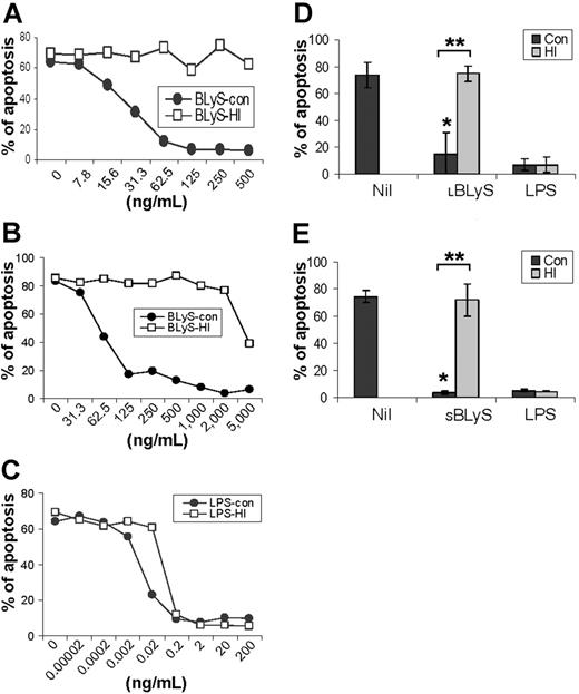 Figure 2. Titration of BLyS-mediated enhancement of monocyte survival and effects of heat inactivation on biologic activity. Control (con; non-heat inactivated) and heat-inactivated (HI) (A) LBLyS (Calbiochem), (B) SBLyS (RDI), and (C) LPS were titrated over the indicated range of concentrations, and monocyte survival was determined on day 3. Data are representative of 3 independent experiments. (D) Apoptosis analysis of cells stimulated with control (con) or heat-inactivated 100 ng/mL LBLyS (HI) or 20 ng/mL LPS (HI) (data shown represent mean ± SD of 5 independent experiments); and (E) cells stimulated with control (con) or heat-inactivated 500 ng/mL SBLyS (HI) or 20 ng/mL LPS (HI) (data shown represent mean ± SD of 3 independent experiments). *When compared with Nil, P < .001. **When control LBLyS or SBLyS compared with heat-inactivated LBLyS or SBLyS, P < .001.