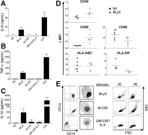 Figure 4. BLyS promotes monocyte activation and differentiation. Cells were stimulated with the indicated stimuli for 24 hours before isolation of cell-free supernatants and assessment of secreted (A) IL-6, (B) TNF-α, and (C) IL-1β levels by ELISA. *Values that were below the limits of detection. (A-C) Data shown represent mean ± SD of 3 different experiments. (D) Isolated monocytes were cultured ± 200 ng/mL LBLyS for 2 days before assessment of expression of the indicated surface costimulatory molecules on viable cells by flow cytometry. Each symbol represents the ΔMFI, which is a reflection of fold induction of each molecule relative to the isotype control. (E) Monocyte differentiation was determined by measuring surface expression of CD14 and CD1a at day 6. Cell morphology was analyzed by flow cytometry and by light microscopy using an Olympus AX70 microscope (Olympus America, Center Valley, PA) equipped with a UPlan FL objective at a magnification of 60×(1.25 numeric aperture) under oil. Images were collected using a Diagnostic Instruments camera (model 1.4.0; Sterling Heights, MI) and SPOT image acquisition software version 3.0.4 (Diagnostic Instruments).