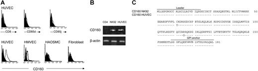 Figure 5. HUVECs and HMVECs express the CD160 receptor. (A) HUVECs, HMVECs, HAOSMCs, and fibroblasts in primary culture were analyzed by flow cytometry after incubation with anti-CD8-, anti-CD85d-, anti-CD85j-, or CL1-R2 (anti-CD160)-specific mAbs (open profiles) or IgG isotype controls (filled profiles), followed by PE-labeled conjugates. Results are representative of 6 independent experiments. (B) CD160 mRNA was expressed by HUVECs and NK92 cells (positive control) but notbyCD4+ T cells (negative control). RT-PCR analysis, using CD160-specific primers, compared with β-actin control primers. (C) Predicted amino acid sequence alignment of CD160 expressed in HUVECs and NK92. Dotted lines indicate identity.