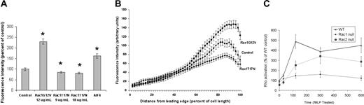 Figure 2. Rac1 regulates Rho activation. (A) Rac1 increases RhoA activity in human neutrophils. Constitutively active or dominant-negative Rac1 mutants were expressed in human neutrophils, stimulated with 1 μM fMLP, fixed, and stained with phalloidin (green) and the Rhotekin RBD (red), as described in “Materials and methods.” Rhotekin RBD mutated at R37,39A,D40A was used as an inactive control and showed only background staining (not shown). Fluorescence intensities of more than 300 cells from at least 3 samples were measured for each treatment. Error bars show standard error, and significant differences (at least P < .05) are indicated by asterisks. Cells were treated with 20μM aluminum fluoride (AIF4) for 15 minutes as a positive control for Rho activation. (B) Distribution of active Rho from front to back in human neutrophils. Rhotekin RBD staining was mostly confined to the uropod region in control cells following fMLP stimulation. The intensity of Rho activation was greater in the uropod of cells treated with Rac1G12V, and substantially less intense in Rac1T17N-treated cells. Linescans of control (vector treated), Rac1G12V-, and Rac1T17N-expressing cells reveal significant differences in levels of active Rho along the length of these cells, particularly at the rear, compared with controls. Fluorescence intensities were measured from the leading edge to the tail, with cell lengths normalized to 100% to allow comparison. Results shown are the mean ± standard error of at least 30 cells per condition. (C) Rac1-null mouse neutrophils fail to activate Rho GTPase following fMLP stimulation. FMLP-mediated Rho activation in murine neutrophils requires Rac1 but not Rac2. Using the Rhotekin assay (“Materials and methods”), we demonstrate that in cells stimulated globally with 1 μM fMLP, RhoA activation increases in a similar pattern in wild-type and Rac2-null neutrophils over 600 seconds, but is severely perturbed in Rac1-null neutrophils. Rac1 is significantly different from wild-type and Rac2 for all time points greater than 100 seconds (P < .01).
