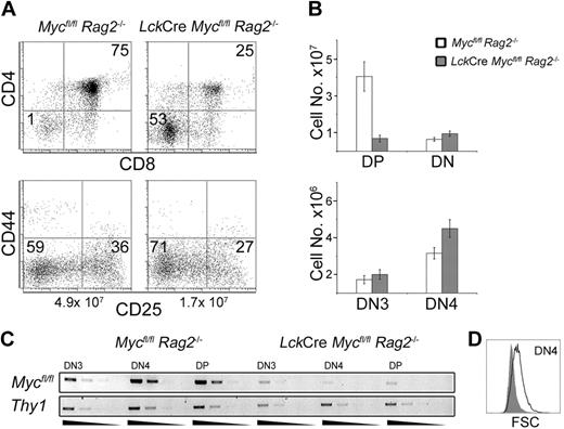 Figure 5. Pre-TCR-like signals induce differentiation of Lck-Cre-Mycfl/fl-Rag2-/- thymocytes. (A) FACS profiles for CD4/CD8 (top panels) and lin-/CD44/CD25 expression 4 days after injection (intraperitoneally) of 50 μg α-CD3 mAb. Numbers given indicate the percentages of cells in the respective quadrants. FACS plots are representative of observations obtained in at least 3 independent experiments. (B) Cellularity was calculated from total thymocyte numbers and the fraction of the indicated subsets. Error bars indicate SD. Eleven LckCre-Mycfl/fl-Rag2-/- and 6 LckCre-Rag2-/- were analyzed to obtain statistics. (C) Semiquantitative PCR with 5-fold serial dilutions was performed to detect the floxed Myc allele. Genomic DNA was obtained from FACS-sorted DN3, DN4, and DP cells. (D) Cell size of DN4 stage thymocytes. FSC as observed by FACS.
