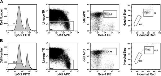 Figure 3. SP analysis of KSL cells derived from SP- or MP-CD34-KSL cells. (A) BM cells from mice reconstituted with 30 SP-CD34-KSL cells were analyzed 4 months after transplantation. (B) BM cells from mice reconstituted with 30 MP-CD34-KSL cells are analyzed simultaneously. Test donor cells are identified as Ly5.2 cells. Sequential gating is shown from the left to the right panels, with Ly5.2-KSL cells (staining with both Hoechst red and Hoechst blue) in the panel at far right.