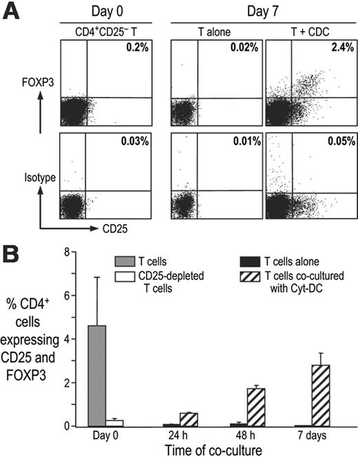 Figure 3. Induction of FOXP3+ T cells in CD4+CD25- T cells by DCs. (A) CD25- T cells were isolated by flow sorting and cultured alone (T alone) or with Cyt-DCs. After 7 days of culture, CD4+CD25+ FOXP3+ T cells were monitored by flow cytometry. One of 4 similar experiments. (B) CD25- T cells were cultured alone or with Cyt-DCs, and expression of FOXP3 protein was monitored by flow cytometry on days 0, 1, 4, and 7 of culture. The graph shows a summary of 2 experiments (mean ± SD).