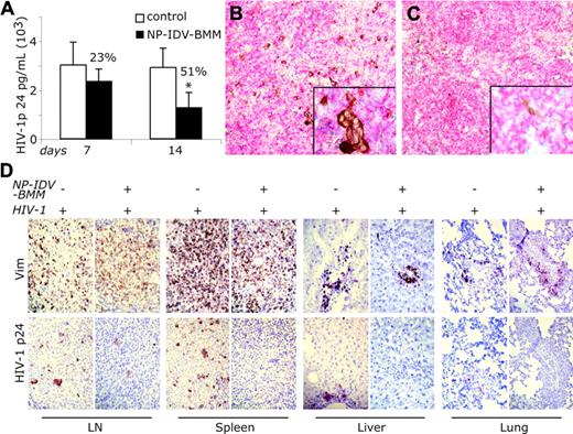 Figure 5. Antiretroviral activities of NP-IDV-BMMs in HIV-1-infected hu-PBL-NOD/SCID mice. (A) Serum HIV-1p24 levels (mean ± SEM) from HIV-1-challenged hu-PBL-NOD/SCID mice untreated (control) or treated with NP-IDV-BMMs after days 7 and 14. Spleen sections from (B) untreated or (C) NP-IDV-BMM-treated mice were immunostained for CD3 (pink) and HIV-1p24 (brown). CD3+ T cells were observed at comparable frequencies, whereas HIV-1p24-positive cells were vastly diminished in NP-IDV-BMM-treated mice. *P < .05 compared with untreated controls. Magnification is (originals) ×200 and (insets) ×400. (D) Distribution of human PBLs (Vim+) and HIV-1-infected cells (HIV-1p24+) were evaluated in lymph nodes, spleen, liver, and lung from HIV-1-infected mice that were untreated or treated with NP-IDV-BMMs. Magnification is ×200.