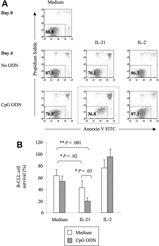 Figure 1. IL-21 plus CpG ODN induces apoptosis of B-CLL cells. PBMCs from 9 patients with B-CLL were cultured for 4 days in the presence of CpG ODN (2.5 μg/mL) and IL-21 (100 ng/mL) or IL-2 (100 U/mL). Cell survival of B-CLL cells was determined using annexin V and PI staining and counterstaining with antibodies to CD19. (A) Shown are annexin V/PI dot plots from 1 representative experiment. Gated are CD19+ B-CLL cells. Numbers in the gates represent percentages of displayed events. (B) The mean B-CLL cell-survival rates from 9 independent experiments are plotted. Error bars indicate SEM.