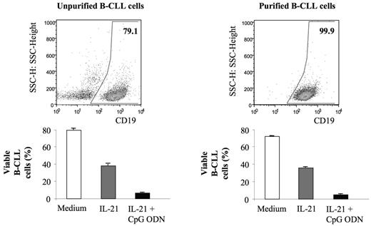 Figure 3. Proapoptotic effect of IL-21 and CpG ODN on B-CLL cells is direct. PBMCs from 3 patients with B-CLL were isolated and divided into 2 fractions. One fraction was purified to a percentage of more than 99% CD5+, CD19+ B-CLL cells. Both fractions were incubated for 3 days with IL-21, CpG ODN, or both agents, and apoptosis was determined flow cytometrically. Data are from 1 representative experiment of 3. Dot plots demonstrate the purity of B-cell populations based on CD19 expression. Numbers in the gates represent percentages of displayed events. Bar graphs illustrate the mean B-CLL cell-survival rates in response to treatment. Error bars indicate SEM from experimental replicates.