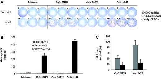 Figure 5. IL-21 induces granzyme B secretion by B-CLL cells, which is synergistically enhanced by CpG ODN and anti-BCR. B-CLL cells from 3 patients were isolated and purified to a percentage of at least 99.9% based on CD19 expression. The cells were cultured at 37°C on 96-well ELISPOT plates for granzyme B detection at 100 000 cells/well and in the presence of different B-cell activators alone or with IL-21. After 16 hours, plates were developed and dots counted. Every condition was run in triplicate. (A) Individual ELISPOT plate from 1 representative experiment of 3 is shown. (B) Average spot numbers from 1 representative experiment of 3 are depicted. Error bars indicate SD. (C) B-CLL cell survival after 4 days of incubation with anti-BCR or CpG ODN alone () or with IL-21 (▪) was flow cytometrically detected using annexin V, anti-CD19, and PI staining. Averages from 3 independent experiments are shown. Error bars indicate SEM.