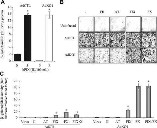 Figure 1. Effect of FIX concentrate HT-DEFIX and its individual component proteins on transduction of HepG2 hepatocytes by AdCTL and AdKO1. (A) HepG2 cells were infected with AdCTL or AdKO1 in the absence and presence of HT-DEFIX (shown as levels of human FIX within the HT-DEFIX purification) for 3 hours in serum-free medium. Following extensive washing, cells were cultured in serum containing medium and harvested at 72 hours after transduction. *P < .05 versus cells without addition. (B) Human proteins (FII, AT, FIX, FX, all at physiologic levels) were used as for panel A but in place of HT-DEFIX. Representative X-Gal-stained images are shown. (C) Quantification of β-galactosidase levels 72 hours after infection in the presence of FII, AT, FIX, or FX alone or FIX and FX in combination. *P < .05 versus virus alone.