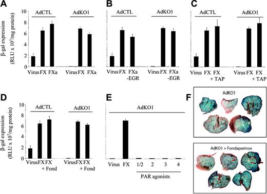 Figure 3. Effect of FXa and FXa inhibitors on transduction of HepG2 cells in vitro and liver transduction in vivo. HepG2 cells were transduced with AdCTL or AdKO1 (1000 VP/cell) in the presence of 1 IU/mL FX or FXa (A), 1 IU/mL active site-blocked Xa (FXa-EGR) (B), coincubated with 1 IU/mL FX and TAP at a molar ratio of 5.78:1 (TAP/FX) (C) or 2 μg/mL fondaparinux (D) for 3 hours, washed, and analyzed for β-galactosidase expression at 72 hours after infection. (E) Assessment of 100 μM PAR agonists on transduction by AdKO1. (F) Mice were given injections of AdKO1 in the absence or presence of pretreatment with fondaparinux (10 mg/kg intraperitoneally) and transgene expression in the liver assessed at 48 hours after infection. X-Gal-stained images are shown.