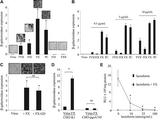 Figure 4. Effect of homologous and related but structurally divergent coagulation factors on adenoviral infectivity of HepG2 cells. (A-D) β-Galactosidase expression is expressed as RLU × 107/mg protein. (A) HepG2 cells were incubated with 1 IU/mL human FVII, FIX, FX, PC, FXI, or FXII in the presence of AdKO1 for 3 hours, cells washed, and transgene quantified at 72 hours after infection. Representative X-Gal-stained images are shown for each condition. *P < .05 versus virus alone. (B) HepG2 cells were incubated with varying concentrations (as indicated) of human FVII, FIX, FX, PC, FXI, or FXII in the presence of AdKO1 for 3 hours, cells washed, and transgene quantified at 72 hours after infection. (C) HepG2 cells were exposed to 1 IU/mL FX or an equimolar concentration of FX-GD in the presence of AdKO1 for 3 hours, cells washed, and transgene quantified at 72 hours after infection. *P < .05 versus virus alone. (D) CHO-K1 or CHO-pgsA745 cells were incubated with 1000 VP-per-cell AdKO1 in the absence or presence of 1 IU/mL FX for 3 hours, washed, and transgene quantified at 72 hours after infection. *P < .05 versus virus alone. (E) HepG2 cells were exposed to 1 IU/mL FX in the presence or absence of increasing doses of lactoferrin and transgene quantified at 72 hours after infection. *P < .05 versus incubation in the absence of lactoferrin.