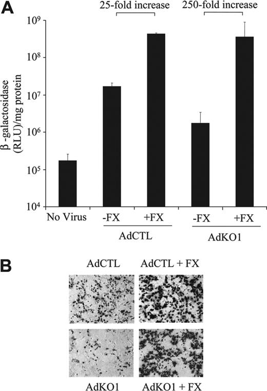 Figure 6. In situ liver perfusion to assess FX involvement in liver hepatocyte transduction. (A) Mouse livers were perfused with PBS to create a blood-free environment, and then 2 × 1011 VP was infused in the presence or absence of human FX at 1 IU/mL. Hepatocytes were then isolated and cultured and reporter gene quantified 48 hours later. (B) Representative images showing β-Gal-expressing cells from the same experiments.