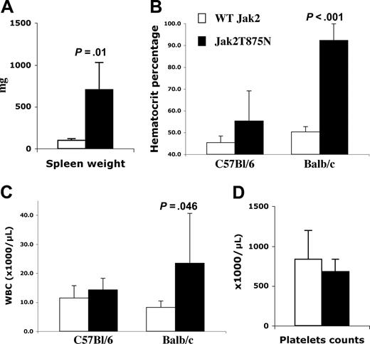 Figure 5. JAK2T875N induces a myeloproliferative disease in a murine bone marrow transplant model. Spleen weight of Balb/C animals (A), hematocrit percentages (B), and white blood counts (C) of C57Bl/6 and Balb/C animals and platelet counts of Balb/C animals (D), analyzed at 150 days after transplantation are shown. Each histogram bar represents the mean value from 5 animals plus or minus SD. Student t test was performed and the P value is indicated when a significant difference (P < .05) between JAK2WT and JAK2T875N animals was observed.