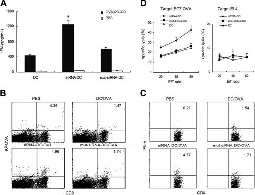 Figure 5. Induction of more potent Th1 and CTL responses by immunization with DIgR2-siRNA-DCs. C57BL/6 mice were immunized once with DIgR2-siRNA adenovirus-infected DCs that were pulsed with ovalbumin proteins and ex vivo matured with LPS (100 ng/mL) for 24 hours before immunization (1 × 106 DCs per mouse). Two weeks later, splenocytes were pooled from 3 mice from each group. (A) IFN-γ production by CD4+ T cells after pooled splenocytes were restimulated with OVA-II peptide (1 mg/mL) for 48 hours. (B) Percentages of H2-Kb/OVA tetramer+ in the total gated CD8+ T-cell population. (C) Percentages of IFN-γ+ T cells in the total gated CD8+ T-cell population when pooled splenocytes were restimulated with OVA-I peptide (10 mg/mL) for 3 days. (D) Cytotoxicity against OVA+ EG7 (left) or OVA- EL4 (right) target cells by splenocytes restimulated in vitro with OVA-I peptide (10 mg/mL) for 6 days in the presence of 50 U/mL IL-2. E/T indicates effector-target ratio. Data shown are representative of 3 independent experiments. *P < .01 versus AV-DIgR2-mut-siRNADCs. Error bars indicate SE.