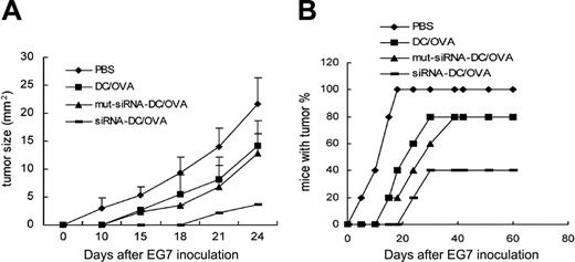 Figure 6. Enhanced induction of antitumor effect by immunization with DIgR2-siRNA-DCs. C57BL/6 mice (n = 5 mice/group) mice were preimmunized twice at weekly intervals with 1 × 106 of OVA-pulsed, transduced, or mock DCs with ex vivo maturation. Seven days after the final immunization, OVA+ EG7 tumor cells (2 × 106) were inoculated subcutaneously. Tumor size (A) and percentage of mice with tumor (B) were monitored twice a week. The data represent 1 of 2 independent experiments. Error bars indicate SE.
