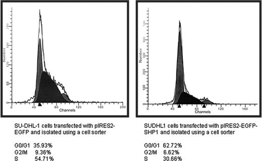 Figure 6. SHP1 induced G1cell cycle arrest and a decrease in the number of viable cells. Cell cycle analysis for SU-DHL1 cells transfected with pIRES2-EGFP and pIRES2-EGFP-SHP1. Cells were harvested 24 hours after gene transfection and subjected for cell sorting based on GFP expression. All GFP+ cells were then subjected to cell cycle analysis. SHP1 induced a significant increase in the G0/1 population, indicating cell cycle arrest.