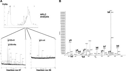 Figure 4. Identification of γ-globin-derived peptides on the cell surface of aAPC/γ-globin. (A) Cell-surface peptides from aAPC/γ-globin were acid stripped and separated by reverse-phase HPLC as described in “Materials and methods.” Peptide fractions were collected, subjected to mass spectral analysis, and fractions corresponding to those of synthetic g031 and g105 peptides were identified. (B) The fraction corresponding to the g105 peptide was subjected to sequencing.