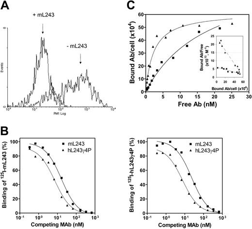 Figure 1. Binding characteristics of hL243γ4P and hL243γ1 relative to the parental murine L243. (A) Binding of hL243γ1 to Raji cells was measured using PE-conjugated second antibody (goat anti-human IgG, Fc fragment specific) and counting in a Guava PCA system. (B) Competitive binding assay. A cell-surface competitive binding assay was performed to compare the binding activity of hL243γ4P with the parental murine L243. Varying concentrations of mL243 (▪) or hL243γ4P (▴) were mixed with a constant amount of 125I-hL243γ4P and incubated with Raji (left) or Daudi cells (right). The cells were washed to remove unbound mAbs and counted for the bound residual radioactivity. (C) Direct cell-surface saturation binding and Scatchard plot analysis on Daudi cells. mL243, ▪; hL243γ4P, ▴.