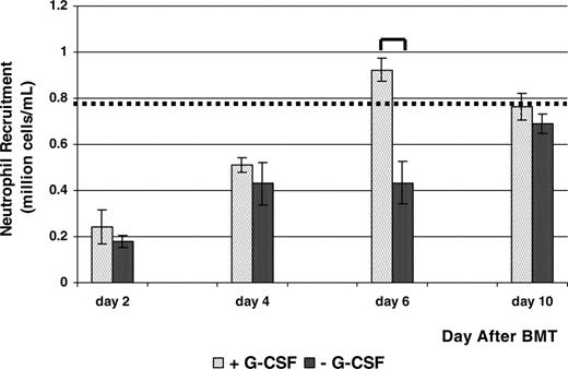 Figure 3. Effect of G-CSF treatment on neutrophil chemotaxis function recovery after BMT. This chart shows the mean number of neutrophils recruited to the peritoneal cavity following the introduction of NaOI in SV129/black mice with and without G-CSF treatment after BMT. Neutrophils were counted by a Coulter Z2 particle counter (Beckman Coulter Canada). The mean number of neutrophils recruited in untreated recipient control mice is represented by the dotted line (8.00 × 105 cells/mL). G-CSF treatment resulted in the increased recruitment of neutrophils to the peritoneum to reach normal levels (8.00 × 105 cells/mL) faster on days following BMT than when no G-CSF treatment was administered. The t tests revealed that G-CSF treatment resulted in a 3-fold significant increase in neutrophil chemotactic recruitment for day 3 (P < .005) and day 6 (P < .005) and a 2-fold increase for day 7 (P < .05) after BMT. Data are shown as mean ± SEM (3-8 mice per day after BMT).