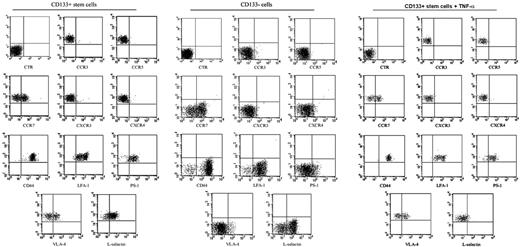 Figure 1. FACScan immunophenotyping of sorted human circulating CD133+ and CD133- cells. Human circulating CD133+ cells obtained from the peripheral blood of healthy donors were characterized after FACSVantage sorting for the expression of adhesion molecules and chemokine receptors. The expression of the adhesion molecules was also evaluated in sorted CD133- cells and after stimulation of sorted CD133+ cells with 5 ng/mL TNF-α. CD133+ cells (99% ± 1%) coexpressed CD44 and LFA-1. In particular, we observed 2 subpopulations of CD133 on the basis of LFA-1dim and LFA-1bright expression. In addition, 83% ± 2% of CD133+ cells expressed PSGL-1, 44% ± 3% expressed VLA-4, and 60% ± 5% expressed L-selectin. Analysis of chemokine receptors showed a very low expression of CXCR3 and CXCR4 (4% ± 3%), whereas 44% ± 5.4% of CD133+ cells were positive for CCR7. Less than 2% of total CD133+ cells expressed CCR3 (1.6% ± 1.3%) or CCR5 (1.7% ± 1.5%). We observed that sorted CD133- cells expressed 98% ± 1% CD44, 87% ± 1% LFA-1, 63.5% ± 1% L-selectin, 53.5% ± 1% CCR7, 19% ± 1% CXCR3, 3.5% ± 1% CXCR4, 1.2% ± 1% CCR3, and 0.09% ± 1% CCR5. Very low expression of VLA-4 (0.6% ± 0.5%), CCR3 (1.2% ± 1%), and CCR5 (0.09% ± 1%) was observed. After cytokine stimulation of sorted CD133+ cells, the expression of L-selectin decreased from 60% to 4%. The other adhesion and chemokine molecules showed similar decreases.