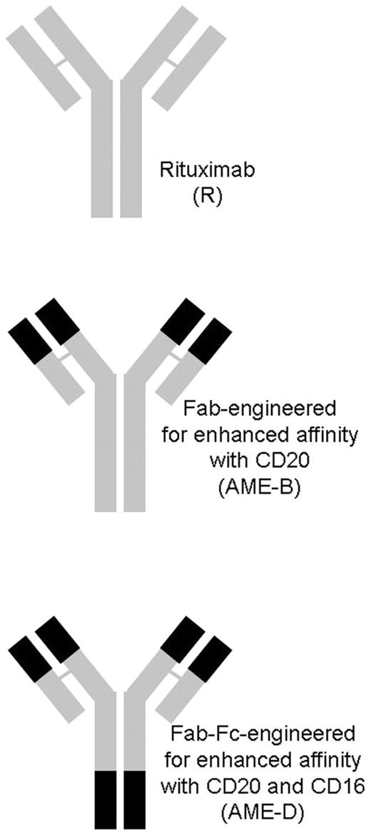 Figure 1. Anti-CD20 mAbs. Schematic illustrating AME-B with modifications to enhance affinity to CD20 and AME-D with modifications to enhance affinity to both CD20 and CD16.