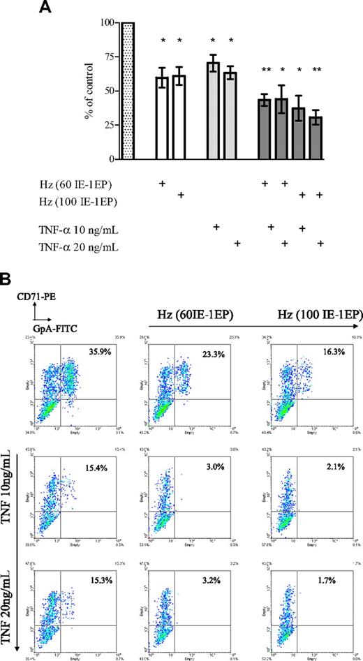 Figure 2. Effect of Hz and TNF-α added at different concentrations on erythroid expansion and phenotype in erythroid cultures. (A) Cell expansion was measured at day 11. The bars represent mean inhibition of erythroid expansion compared with control wells containing medium (dotted bar). The error bars show the SEM of 3 independent experiments. *P < .05; **P < .01. (B) Cells were stained with CD71-PE and GpA-FITC and analyzed by flow cytometry. These plots correspond to a representative experiment.