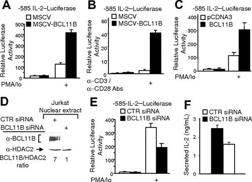 Figure 2. BCL11B regulates IL-2 promoter activity. (A-B) MSCV-BCL11B and MSCV Jurkat cells were electroporated with the -585 IL-2 promoter-Firefly luciferase and CMV-Renilla luciferase constructs. Twenty-four hours after transfection, the cells were treated with PMA/ionomycin for 8 hours (A) or grown for 8 hours in the presence of plate-bound anti-CD3 and soluble anti-CD28 antibodies (B). The luciferase activity was measured using the Promega luciferase dual system. (C) Jurkat cells were electroporated with pCDNA3::BCL11B or pCDNA3 vectors and -585 IL-2 promoter-Firefly luciferase and CMV-Renilla luciferase constructs. Luciferase activity was measured as in panels A and B. (D) Western blot analysis of BCL11B after transfection of Jurkat cells with BCL11B specific (lane 2) or nontargeting (lane 1) siRNAs. HDAC2 was used as loading control. (E-F) Jurkat cells were transfected with the -585 IL-2 promoter-Firefly luciferase, CMV-Renilla luciferase constructs, and BCL11B specific or nontargeting siRNAs. (E) Luciferase activity was measured after PMA/ionomycin treatment for 8 hours; control cells lacked PMA/ionomycin treatment. (F) Secretion of IL-2 was determined by ELISA in media after treatment with PMA/ionomycin for 16 hours. The quantifications represent means of 3 independent experiments ± SD.