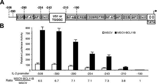 Figure 4. IL-2 promoter activation by BCL11B requires the region between -243 and -190. (A) Schematic representation of the IL-2 promoter deletion mutants. (B) Luciferase reporter assays from MSCV-BCL11B (▪) and MSCV (□) Jurkat cells transfected with the IL-2 promoter deletion mutants. Ratios of luciferase activity between MSCV-BCL11B and MSCV Jurkat cells for each deletion mutant are shown. Reporter assays were conducted after treatment of the cells with PMA/ionomycin for 8 hours. The quantifications represent means of 3 independent experiments ± SD.