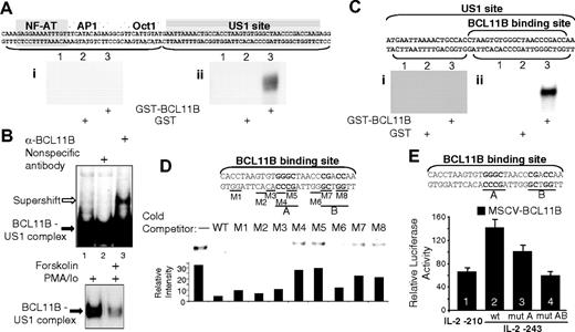 Figure 5. BCL11B binds and activates the IL-2 promoter through the US1 site. (A) EMSA using purified recombinant GST-BCL11B (lane 3) or GST (lane 2) and US1 (ii) or NFAT-AP1-Oct DNA probes (i). Lane 1 is free probe. (B) EMSA using nuclear extracts from Jurkat cells and the US1 probe. In the top panel the US1 probe was incubated with 5 μg nuclear extracts from Jurkat cells treated with PMA and ionomycin (lanes 1-3) and anti-BCL11B (lane 3) or nonspecific antibodies (lane 2). BCL11B-US1 complexes are indicated by the black arrow, and the antibody-supershifted BCL11B-US1 complex is indicated by the white arrow. In the bottom panel the US1 probe was incubated with extracts from cells treated with PMA/ionomycin or forskolin plus PMA/ionomycin. Treatments were conducted as described in Figure 6. (C) EMSA using purified GST-BCL11B (lanes 3) or GST (lanes 2) and proximal (ii) or distal (i) US1 DNA fragments. Lane 1 is free probe. (D) Mutational analysis of the BCL11B binding site. Top panel shows the sequence of the BCL11B binding site. Underlined are the bases mutated in each mutant (M1-M8). Middle panel shows EMSAs with purified recombinant GST-BCL11B, 32P-labeled BCL11B binding site probe plus excess of unlabeled WT or mutant DNA competitors (M1-M8). The bottom panel represents the quantification of the relative intensity of the corresponding bands. Maximal binding of the probe was determined in the sample lacking competitor DNA. For simplicity EMSAs in panels A-D present only protein-DNA complexes. (E) Reporter assays from MSCV-BCL11B Jurkat cells transfected with the following IL-2 promoter-luciferase constructs: wild-type -210 (lane 1), wild-type -243 (lane 2), mutant A -243 (lane 3), and mutant AB -243 (lane 4) (see top panel). In each case cells were treated with PMA/ionomycin for 8 hours before harvesting. Three experiments were conducted, and the quantifications represent means ± SD.
