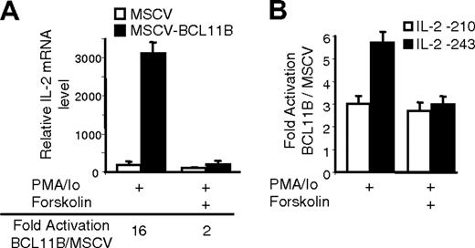 Figure 6. Forskolin blocks augmentation of IL-2 promoter activity by BCL11B. (A) IL-2 mRNA levels in MSCV (□) and MSCV-BCL11B (▪) Jurkat cells stimulated for 4 hours with PMA/ionomycin and pretreated or not with 10 μM forskolin for 30 minutes before stimulation. IL-2 mRNA levels were evaluated by qRT-PCR and normalized by actin in each sample. (B) Ratios of luciferase reporter assays between MSCV-BCL11B and MSCV Jurkat cells transfected with -210 IL-2 promoter (□) or -243 IL-2 promoter (▪). The cells were stimulated with PMA/ionomycin for 8 hours and pretreated or not with 10 μM forskolin for 30 minutes.