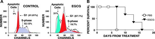 Figure 4. Effect of EGCG on proliferation of myeloma cells in vivo. CB-17 SCID mice were inoculated subcutaneously in the interscapular area with 5 × 106 OPM1 myeloma cells. Following appearance of tumors, the mice were treated intraperitoneally with PBS alone or EGCG 33 mg/kg/d. When mice were humanely killed, tumors were excised and analyzed for apoptosis by flow cytometry. (A) Cell-cycle profiles of tumor cells derived from control and EGCG-treated mice. (B) Survival curve of control and EGCG-treated mice.