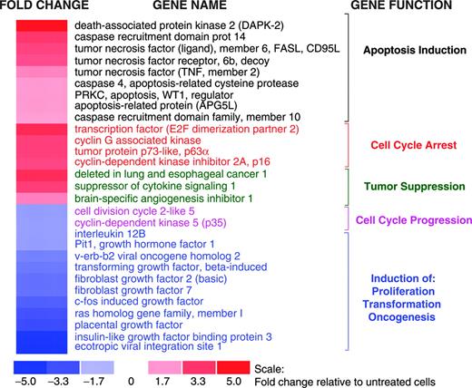Figure 5. Effect of EGCG on gene expression in myeloma cells. Gene expression profile was analyzed in untreated or EGCG-treated (10 μM for 24 hours) MM cells using HG-U133A gene arrays (Affymetrix). Fold change in the expression in EGCG-treated cells relative to expression in untreated INA6 cells is shown by the intensity of red (induction) or blue (suppression) colors.