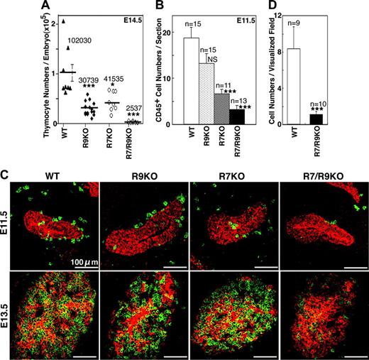 Figure 1. Fetal thymus colonization in CCR7/CCR9-deficient mice between E11.5 and E14.5. (A) Single-cell suspensions isolated from the fetal thymus of indicated mice (WT, wild-type; R9KO, CCR9-knockout; R7KO, CCR7-knockout; R7/R9KO, CCR7/CCR9-double-knockout) were stained for CD45. The frequency of CD45+ cells was measured by flow cytometry. Thymocyte numbers were calculated from the frequency of CD45+ cells and the total viable cell numbers identified by the trypan blue dye exclusion method. Symbols indicate thymocyte numbers in individual embryos, and bars indicate means plus or minus standard errors. Numbers indicate means. (B, C) Sagittal sections of frozen embryos from indicated mice were 2-color-stained for CD45 (Alexa 633; green in panel C) and keratin (FITC; red in panel C). Plotted in panel B are the means plus or minus standard errors of the numbers of CD45+ cells in and attached to the third pharyngeal pouch that contains the thymic primordium. Representative images are shown in panel C, and the numbers of sections analyzed are indicated in panel B. (D) Number (means ± standard errors) of CD45+TER119-FcR- E14.5 fetal liver cells from indicated mice that were attracted to the deoxyguanosine-treated E14.5 B6 fetal thymus lobe in 1-day culture was determined as previously described.6 *P < .05; ***P < .001; NS, not significant.