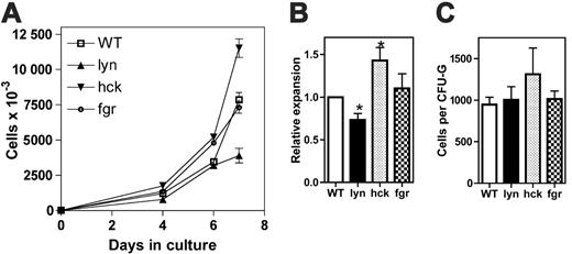 Figure 3. G-CSF-dependent proliferation of individual src family-deficient progenitors. (A-B) c-Kit+ Lin- cells were isolated from the bone marrow of mice and cultured for 7 days in the presence of G-CSF and kit ligand (n = 3-5, each genotype). (A) Representative experiment. Data represent the mean ± SEM of triplicate measurements. (B) The fold expansion of cells in culture on day 7 is shown. In each experiment, the fold expansion of wild-type cells was defined as 1. (C) c-Kit+ Lin- cells were placed into methylcellulose containing 100 ng/mL G-CSF and cultured for 7 days (n = 3). Shown is the average number of cells per colony on day 7 of culture. A total of 150 to 282 colonies were analyzed for each genotype. Data represent the average ± SEM. *P < .05.