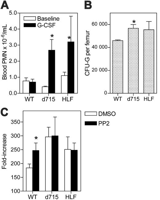 Figure 6. G-CSF responsiveness of d715 G-CSFR progenitors. (A) Mice (n = 4-5, each genotype) were treated with G-CSF (10 μg/kg/d for 7 days). Neutrophil number in the blood was quantified at baseline and on day 7. (B) The number of CFU-Gs per femur was determined in untreated mice (n = 4-5, each genotype; *P < .05 compared with wild-type mice). (C) c-Kit+ Lin- cells were isolated from mice (n = 3-8, for each genotype) and cultured in media containing G-CSF and kit ligand for 7 days in the presence of 1 μM PP2 or vehicle alone (DMSO). The fold increase in cell number on day 7 is shown. Data represent the mean ± SEM. *P < .05 compared with DMSO-treated mice of the same genotype.