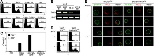 Figure 4. Activation of PKCη is necessary and sufficient for κ chain induction in the pre-B-cell lines. (A) BKO84 cells were cultured for 2 days with PMA, bisindolylmaleimide (Bis), Go6976, alone or in combination, or solvent alone (-), as indicated, and analyzed for κ chain expression by flow cytometry. (B) Reverse transcriptase-PCR analysis of PKCη and HPRT mRNA expression in BKO84, DKO35, 18-81, and WEHI231 cells. (C) BKO84 cells 4 days after infection with the indicated retroviral vectors were analyzed by flow cytometry. The bar graph indicates the frequency of κ-positive cells among GFP-positive (▪) or GFP-negative (□) cells. (D) BKO/ERtm and BKO/BASH-ERtm cells were treated with 1 μM 4-OHT (+) or solvent alone (-) for 4 days and analyzed by flow cytometry for the expression of κ chain. Numbers indicate percentages of the total live cells gated by light scatters. (E) Plasma membrane translocation of endogenous PKCη by BASH reconstitution. BKO/ERtm and BKO/BASH-ERtm cells were treated with 4-OHT (1 μM) for 1 hour, stained for surface pre-BCR, fixed and permeabilized, and stained for PKCη as described in “Materials and methods.” Images were obtained by confocal laser scanning microscopy and digitally colored in green (pre-BCR) and red (PKCη) and merged (Merge).