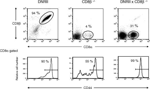 Figure 4. Flow cytometric analysis of CD8+ T cells from CD8β KO × DNRII Tg mice. Lymphocytes from a representative CD8β KO × DNRII Tg mouse (right panel), a CD8β KO mouse (center panel), and a DNRII Tg mouse (left panel) were analyzed for CD8α and CD8β chains (top panels) or CD44 surface expression on the CD8α-gated lymphocytes (bottom panels). Percentages of gated CD8α+ cells (top panels) are denoted by the numbers adjacent to the indicated oval gates and are represented as percentages of total lymphocyte numbers. Percentages of CD44hi cells in the CD8α population (bottom panels) are indicated to the left of the CD44hi gates. Data represent typical (n > 10) flow cytometric analysis of CD8α+ cells from these strains of mice. All mice studied were older than 16 weeks of age.