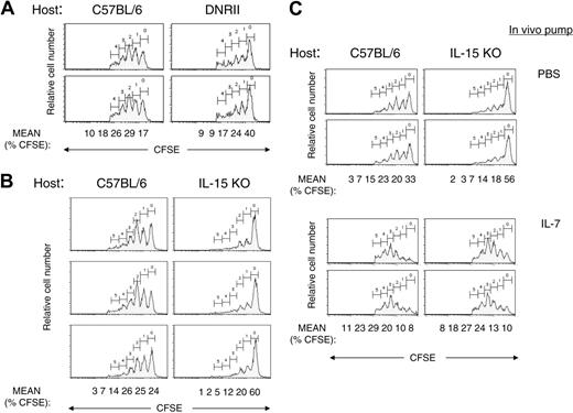 Figure 5. Factor-dependent expansion of CD8+ DNRII Tg T cells. (A) Purified, CFSE-labeled DNRII Tg T cells from 8- to 10-week-old mice were injected into DNRII Tg (right panels) or age-matched C57BL/6 host (left panels). Hosts were killed, and lymphocytes from lymph nodes were pooled and analyzed for CFSE+ T cells 2 weeks after injection. Data shown are from 2 representative mice. Mean of the percentage of CD8+ T cells in each peak is shown below the last row of profiles. (B) Purified, CFSE-labeled DNRII Tg T cells from 8- to 10-week-old mice were injected into IL-15 KO (right panels) or age-matched C57BL/6 host (left panels). Hosts were killed, and lymphocytes from lymph nodes were pooled and analyzed for CFSE+ T cells 2 weeks after injection. Lymphocytes from lymph nodes were analyzed by flow cytometric analysis for CFSE staining. Data shown are for CD8+ T cells from 3 representative mice. Mean of the percentage of CD8+ T cells in each peak is shown below the last row of profiles. (C) Purified, CFSE-labeled DNRII Tg T cells from 8- to 10-week-old mice were injected into IL-15 KO (right panels) or age-matched C57BL/6 hosts (left panels) with subcutaneously implanted mini-osmotic pumps containing either PBS (top panels) or IL-7 (bottom panels). Hosts were killed, and lymphocytes from lymph nodes were pooled and analyzed for CFSE+ T cells 2 weeks after injection. Data shown are for CD8+ T cells from 2 representative mice per group. Mean of the percentage of CD8+ T cells in each peak is shown below the last row of profiles. All experiments were repeated at least 3 times with similar results.