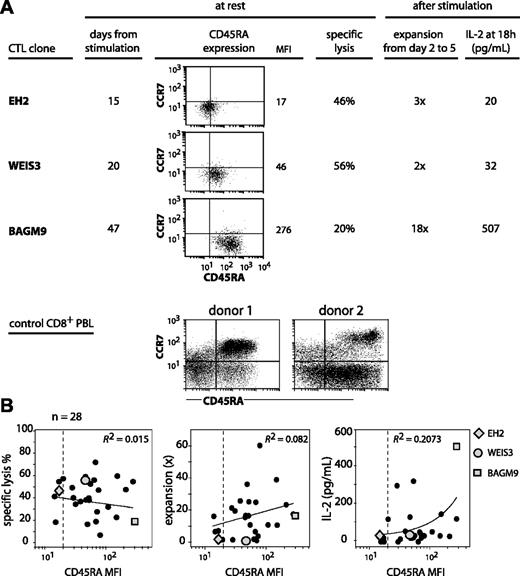 Figure 1. CD45RA/CCR7 phenotype and functional properties of anti–MAGE-3.A1 CTL clones. (A) The CTL clones from cancer patients were labeled in the same conditions as the CD8+ PBLs from donors. Cells were labeled for 15 minutes at room temperature with an FITC-conjugated anti-CCR7 antibody, a PE-conjugated anti-CD45RA antibody, and an APC-conjugated anti-CD8 antibody. Only the living CD8+ PBMCs are shown. Quadrant limits were positioned so as to include in the lower left quadrant 99% of the cells labeled with a control isotype-matched antibody. Lysis was tested by flow cytometry with CTL clones that had been stimulated 15 to 47 days before. The targets were EBV-B cells pulsed with the MAGE-3 peptide. Target cells were mixed with the CTL at an effector-target ratio of 3 and the number of living CD19+ target cells was estimated after a 3-hour coculture. Expansion and IL-2 release were estimated after antigenic stimulation. Twenty thousand CTLs were cocultured with 20 000 HLA-A1 EBV-B cells pulsed with the MAGE-3 peptide. Considering that up to 75% of the CTLs died within 2 days, the expansion of the clones was evaluated in a flow cytometer by counting the number of CD8+ cells at day 2 and at day 5. The presence of IL-2 was evaluated in the supernatant of the coculture using cytometric bead arrays. (B) A total of 28 anti–MAGE-3.A1 CTL clones was tested in the conditions described in panel A. Ninety-nine percent of the cells labeled with the control isotype-matched antibody had a fluorescence lower than the limit indicated by the dashed line. The best correlation curve and the coefficient of determination (R2) are indicated.