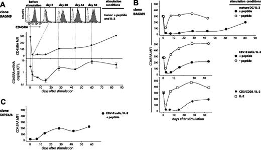 Figure 2. Time course of CD45RA expression on antigen-stimulated CTLs. (A) BAGM9 CTLs (2 × 105), which had a CD27–CD28– phenotype, were stimulated with 2 × 105 MZ2-MEL.43 tumor cells pulsed with the MAGE-3 peptide, in the presence of IL-2. Half of the medium was replaced at 2-week intervals by fresh medium and IL-2. Samples were collected from the coculture at different time points. Cells were labeled with an APC-conjugated anti-CD8 antibody and either a PE-conjugated anti-CD45RA antibody (black histograms) or a control isotype-matched antibody (gray histograms). Only the living CD8+ cells are shown in the figure. Surface expression of CD45RA is indicated as the MFI after subtraction of the MFI of the cells labeled with the control isotype-matched antibody. The number of CD45RA transcripts was evaluated by quantitative PCR, and the results were normalized to the CD8 transcripts. (B) Clone BAGM9 was stimulated with beads coated either with anti-CD3 and anti-CD28 antibodies, mature dendritic cells, or EBV-B cells. When indicated, cells were pulsed with the MAGE-3 peptide. Samples were collected from the cocultures at different time points and the surface expression of CD45RA was evaluated as described in panel A. (C) DIPE6/8 CTLs (3 × 105) were stimulated with 1.5 × 105 HLA-A2 EBV-B cells pulsed with the BMLF1 peptide, in the presence of IL-2. Cells were cultured, sampled, and analyzed in the same conditions as in panels A-B.