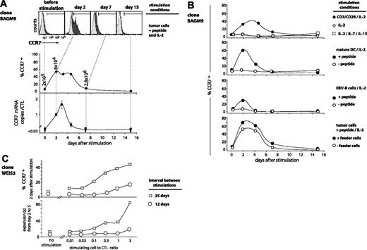 Figure 3. Time course of CCR7 expression on antigen-stimulated CTLs. (A) BAGM9 CTLs (2 × 105) were stimulated with 2 × 105 MZ2-MEL.43 tumor cells pulsed with the MAGE-3 peptide in medium containing IL-2 (50 U/mL). Half of the medium was replaced at 2-week intervals by fresh medium and IL-2. Samples were collected from the coculture at different time points. Cells were labeled with an APC-conjugated anti-CD8 antibody and either an FITC-conjugated anti-CCR7 antibody (black histograms) or a control isotype-matched antibody (gray histograms). Only the living CD8+ cells are shown. Surface expression of CCR7 is indicated as the percentage of the cells having a fluorescence intensity above 99% of the cells labeled with the control isotype-matched antibody. The number of CCR7 transcripts was evaluated by quantitative PCR, and the results were normalized to the CD8 transcripts. (B) Clone BAGM9 was stimulated with either beads coated with anti-CD3 and anti-CD28 antibodies, mature dendritic cells, or EBV-B cells. If indicated, cells were pulsed with the MAGE-3 peptide. Samples were collected from the cocultures at different time points and the CCR7 surface expression was evaluated. (C) CTL clone WEIS3 had a CD27–CD28– phenotype. Some CTLs were stimulated with their antigen 25 days before and some others 12 days before. CTLs (105) were stimulated with MZ2-MEL.43 tumor cells pulsed with the MAGE-3 peptide at the indicated stimulating-cell/CTL ratio. The surface expression of CCR7 was measured 2 days after stimulation. Cells were labeled with an FITC-conjugated anti-CCR7 antibody. The percentage of the cells having a fluorescence intensity above 99% of the cells labeled with the control isotype-matched antibody is indicated on the y-axis. The expansion of the clones was evaluated in a flow cytometer by counting the number of CD8+ cells at day 2 and at day 5.